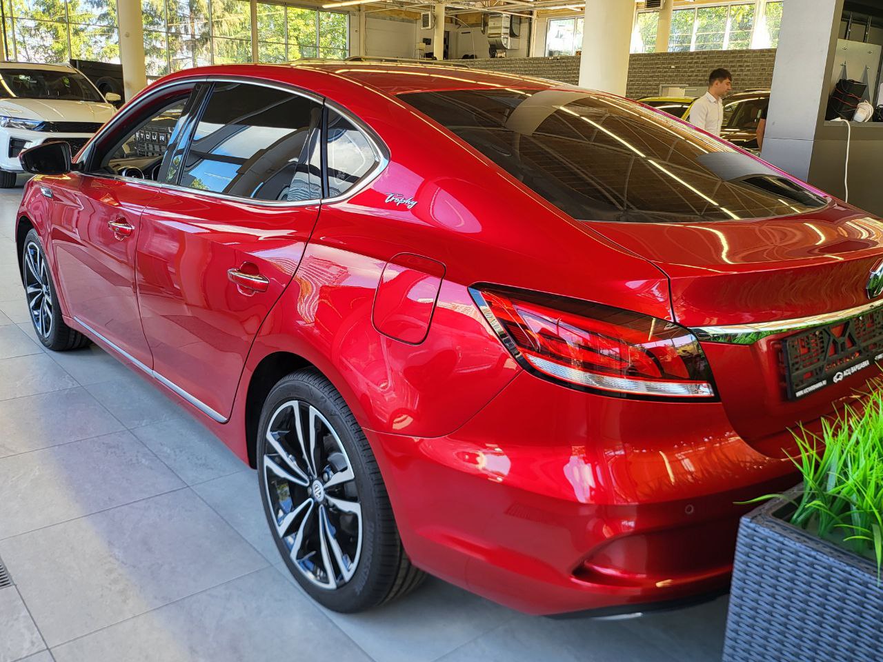 Спецпредложение